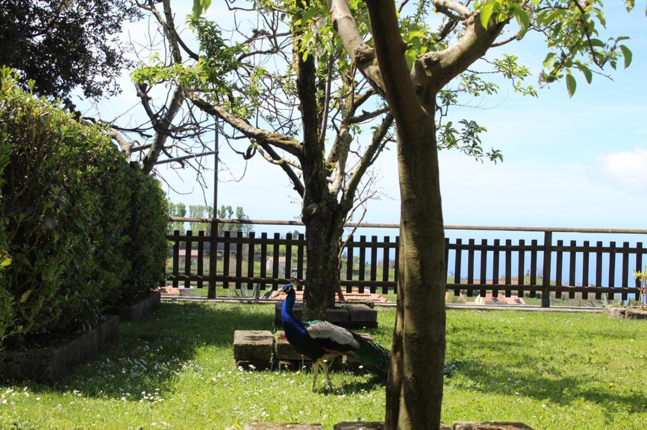 Agriturismo La Baita Agerola Ngoại thất bức ảnh