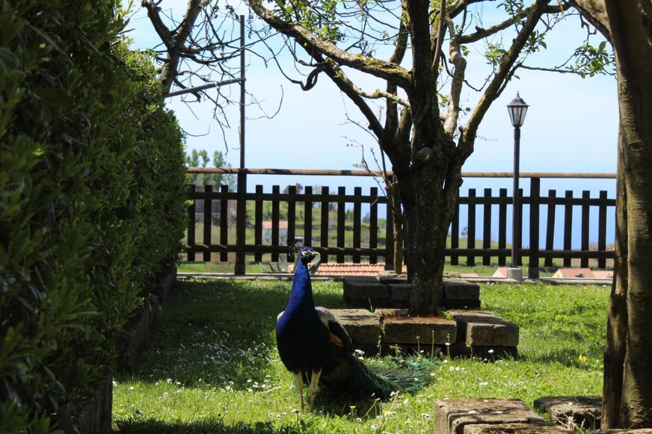 Agriturismo La Baita Agerola Ngoại thất bức ảnh